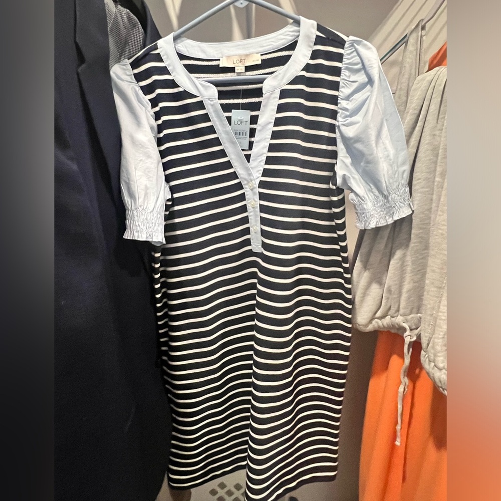 Ann Taylor loft dress